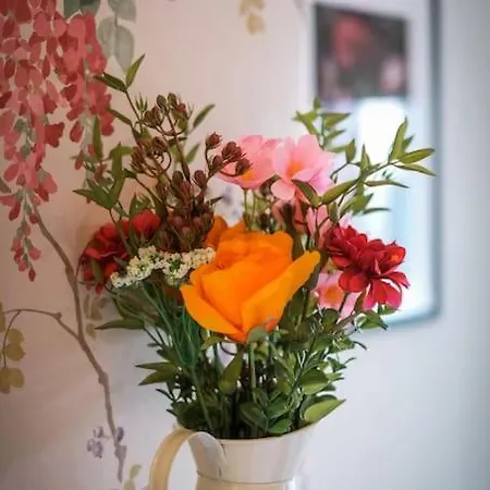 アパート Glen Wynne Lovely Pet Friendly - Free Off-site Health Club Access With Pool, Sauna, Steam & Gym Short 5 Minute Drive Away *